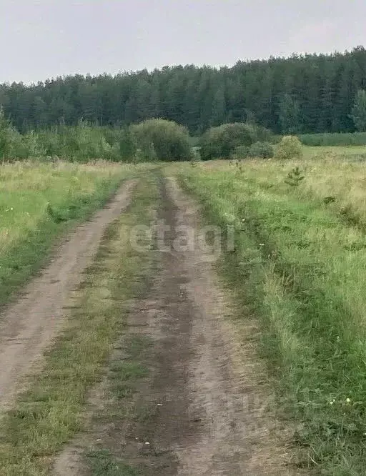 Участок в Свердловская область, Каменский городской округ, д. Ключи, ... - Фото 0