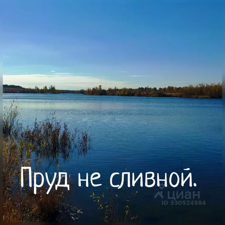 Участок в Самарская область, Пестравский район, Марьевка с/пос  (30.0 ... - Фото 1