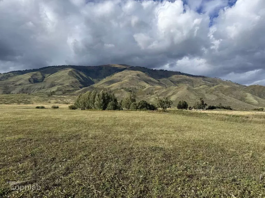 Участок в Алтай, Усть-Коксинский район, с. Катанда  (1.81 сот.) - Фото 2