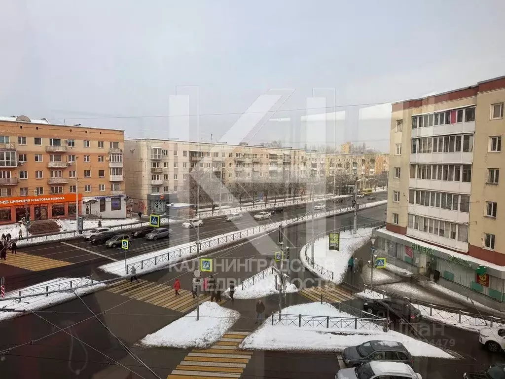 Офис в Калининградская область, Калининград Ленинский просп., 131 (39 ... - Фото 1