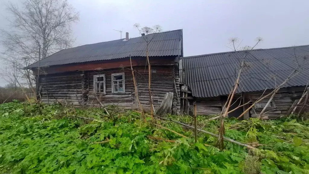 Участок в Тверская область, Старицкий муниципальный округ, д. Сорокино ... - Фото 1