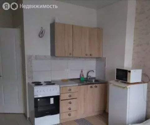 Квартира-студия: Российский, Измаильская улица, 15 (30 м) - Фото 1