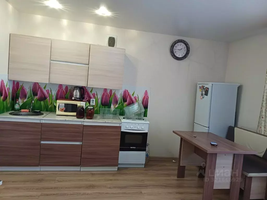 Студия Алтайский край, Новоалтайск ул. Анатолия, 94 (29.0 м) - Фото 0