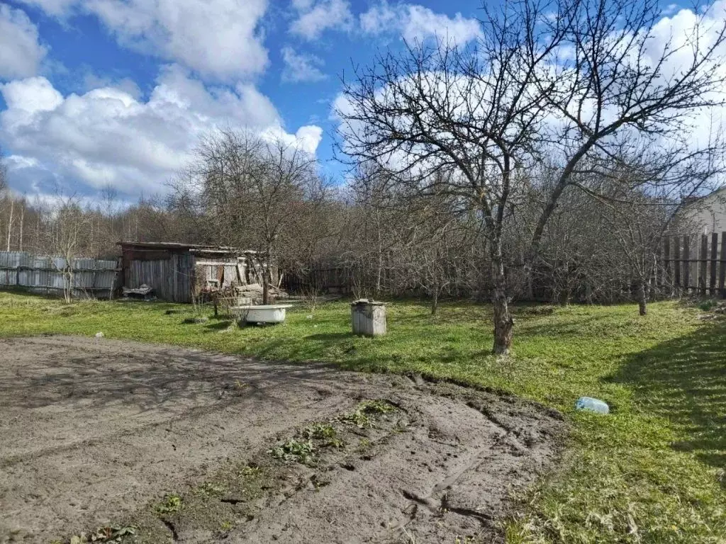 Участок в Нижегородская область, Шатковский муниципальный округ, с. ... - Фото 2