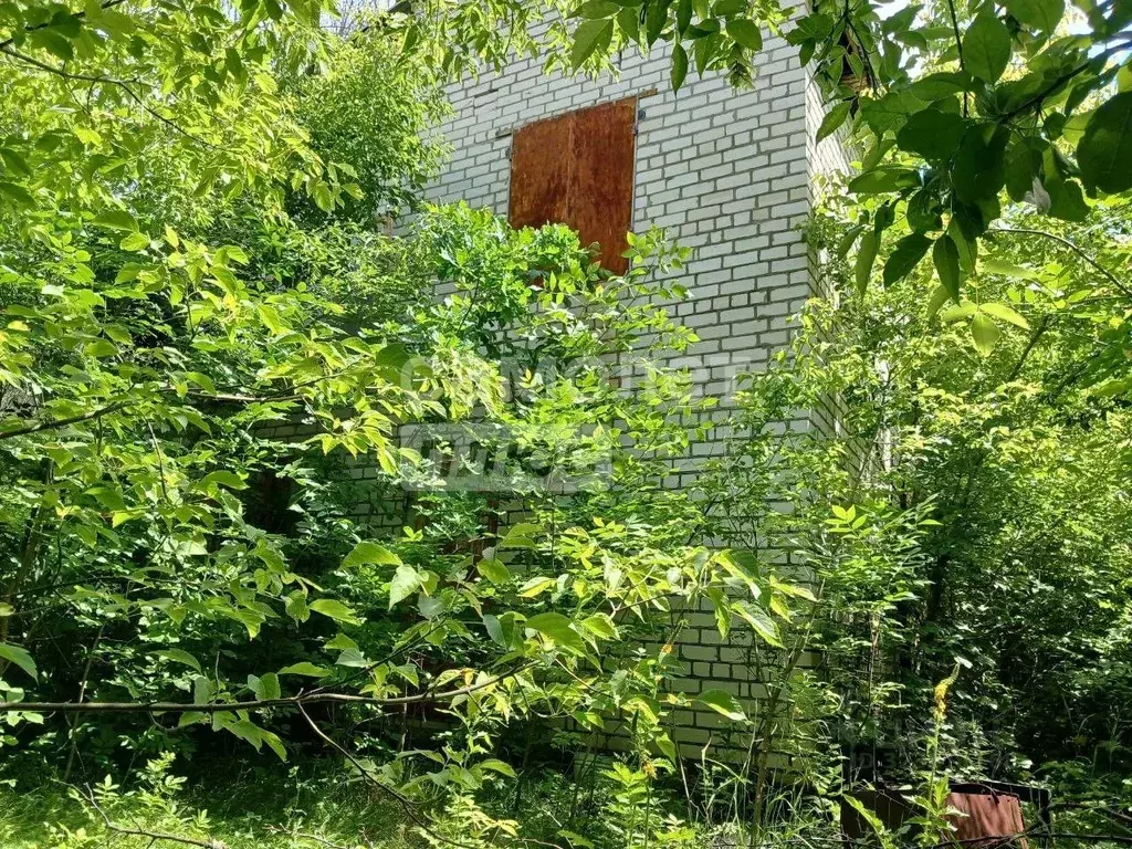 Участок в Самарская область, Сызранский район, Жемковка с/пос, с. ... - Фото 2