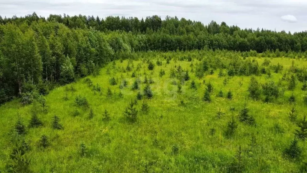 Участок в Коми, Корткеросский район, Додзь муниципальное образование, ... - Фото 1