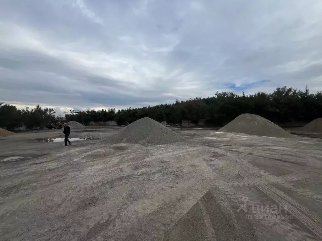 Склад в Алтайский край, Барнаул Деловой проезд, 18 (10000 м) - Фото 2