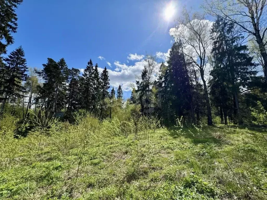 Участок в Московская область, Мытищи городской округ, с. Марфино, ... - Фото 1