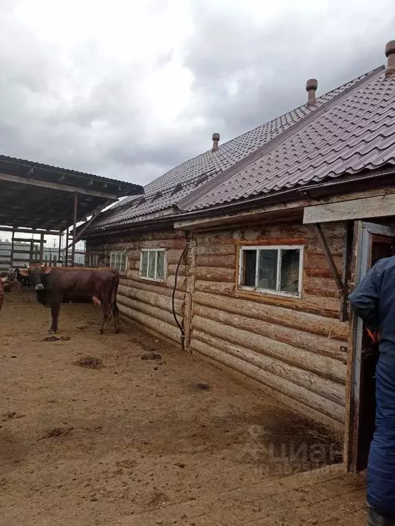 Дом в Московская область, Клин городской округ, д. Плюсково  (40 м) - Фото 0