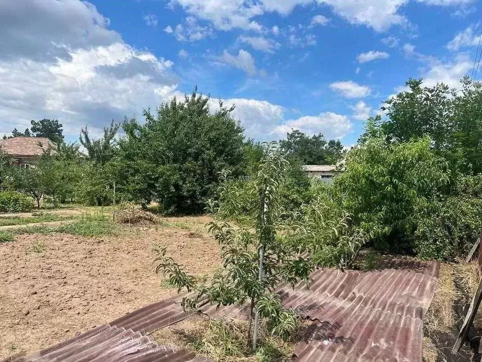 Участок в Волгоградская область, Среднеахтубинский район, ... - Фото 1