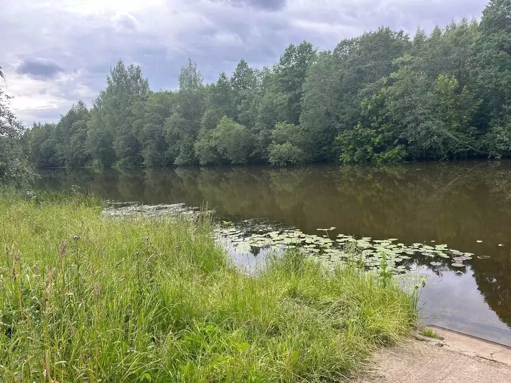 Участок в Московская область, Талдомский городской округ, д. Карманово ... - Фото 1