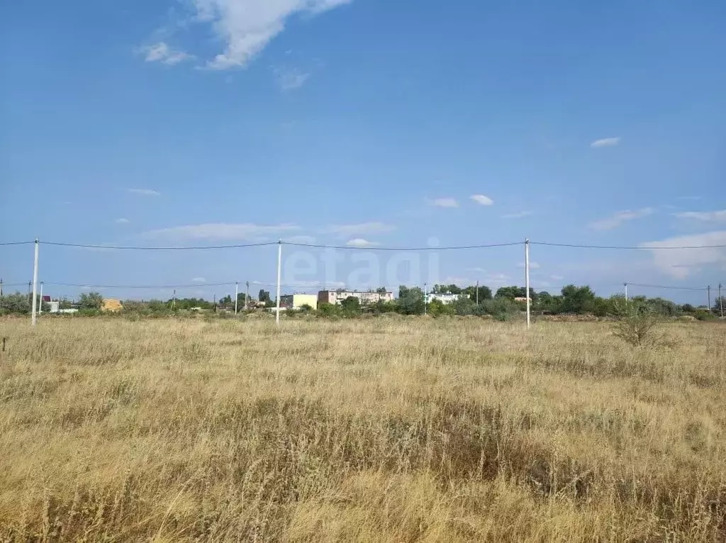 Участок в Саратовская область, Энгельсский район, Новопушкинское ... - Фото 0