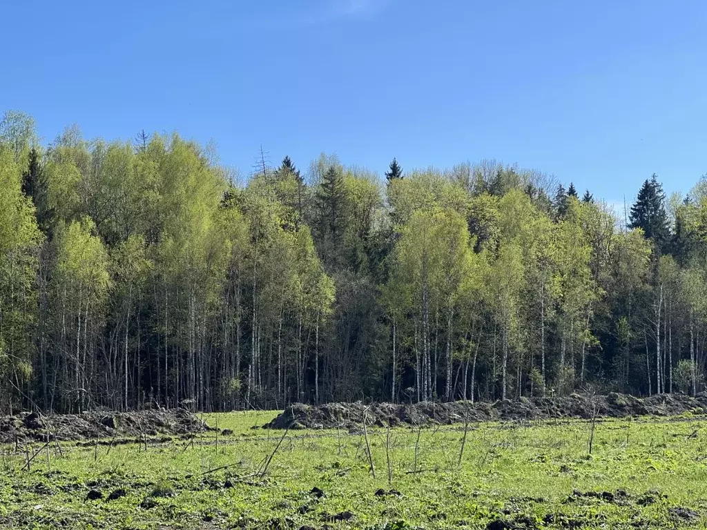 Участок в Московская область, Истра городской округ, Рижские Зори кп  ... - Фото 1