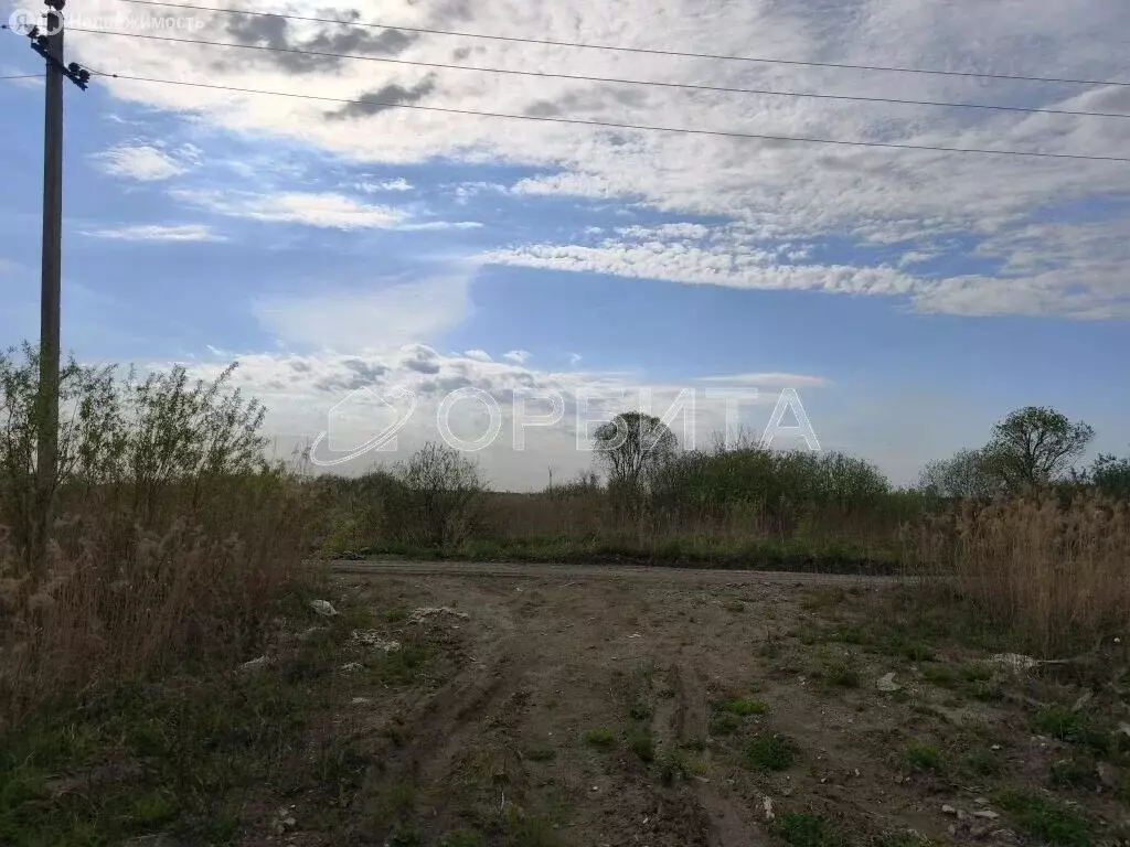 Участок в Тюмень, территория СОСН Берёзка-3, 16-я улица (10 м) - Фото 2