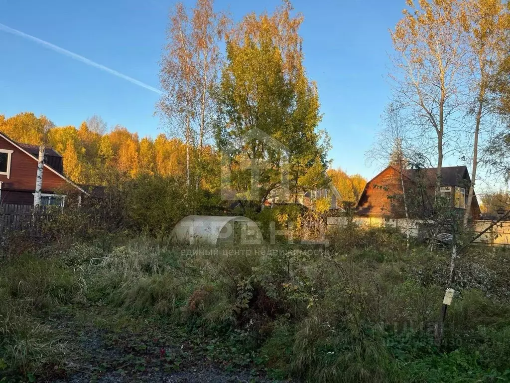 Участок в Санкт-Петербург, Санкт-Петербург, Павловск Павловское-1 СНТ, ... - Фото 1