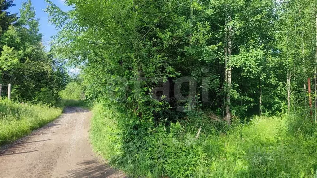 Участок в Пермский край, Пермь Верхне-Камская ул., 74 (6.5 сот.) - Фото 1