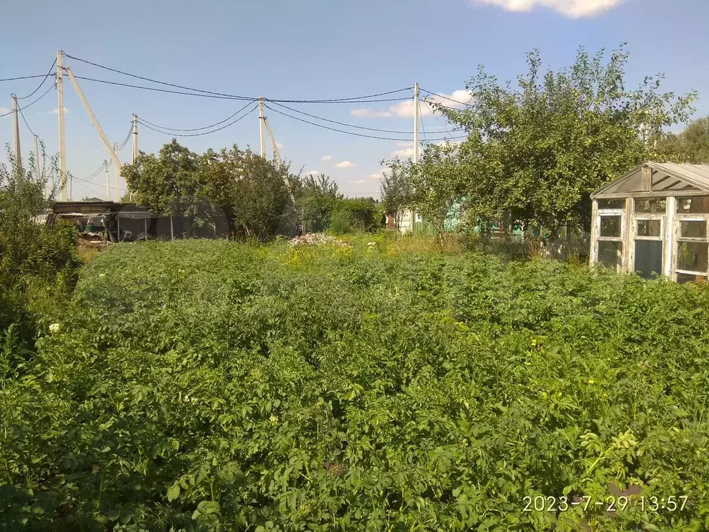 Участок 6 сот. (СНТ, ДНП) - Фото 1