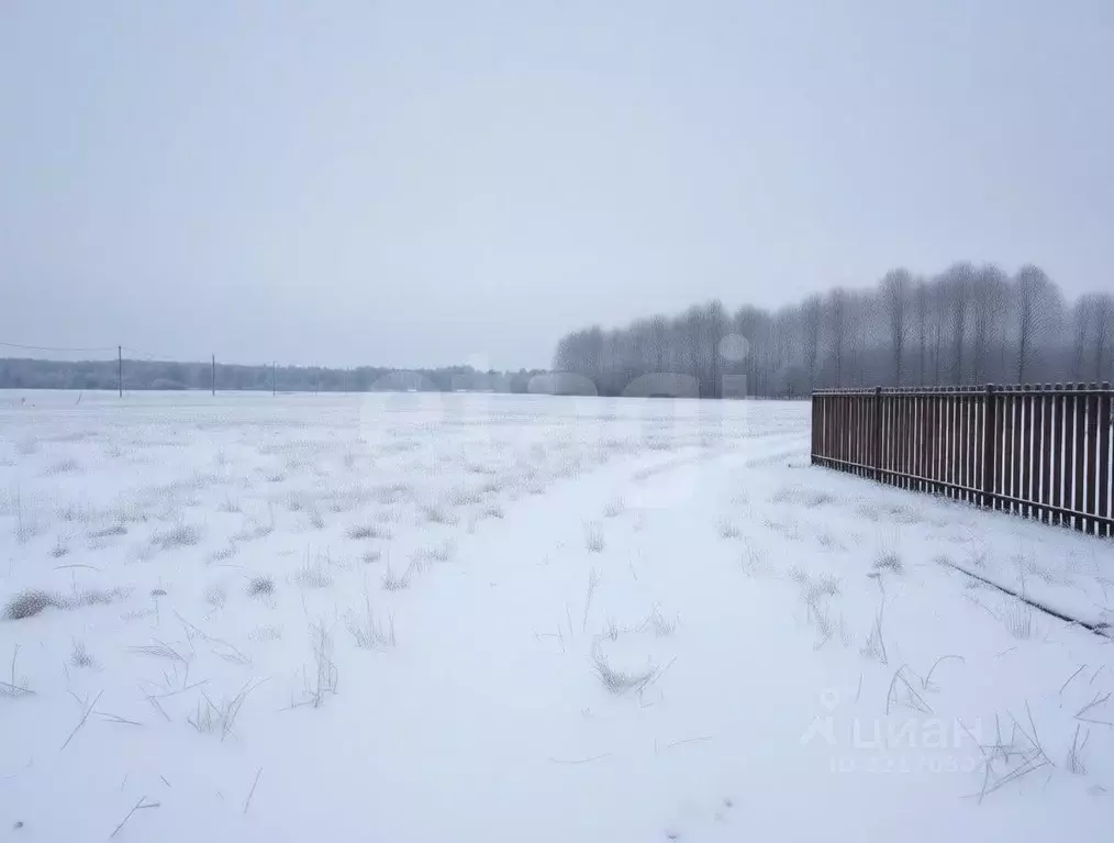 Участок в Ленинградская область, Киришский район, Будогощское ... - Фото 1