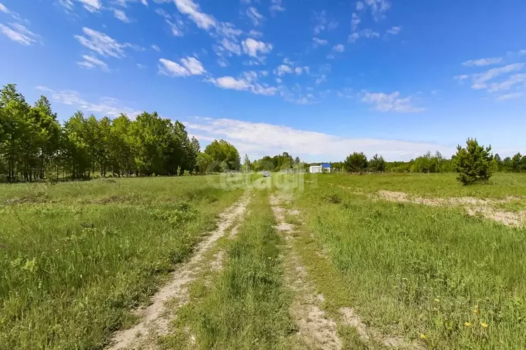 Участок в Тюменская область, Ялуторовский муниципальный округ, Поле ... - Фото 1