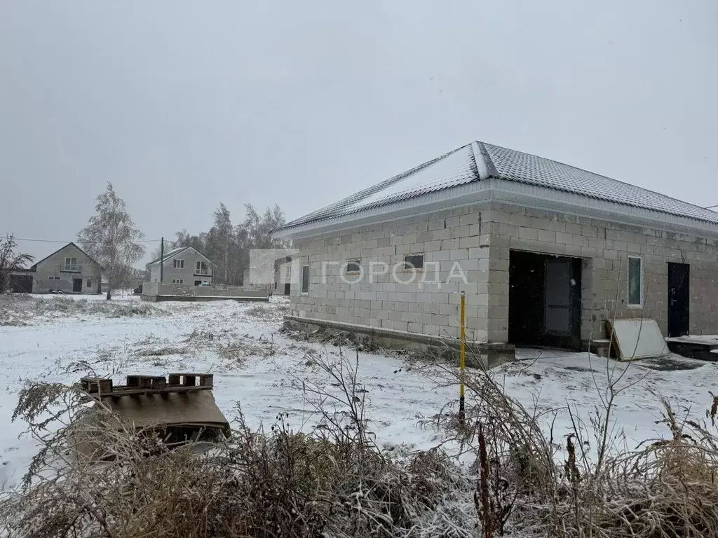 Дом в Алтайский край, Павловский район, пос. Новые зори, Просторный ... - Фото 1