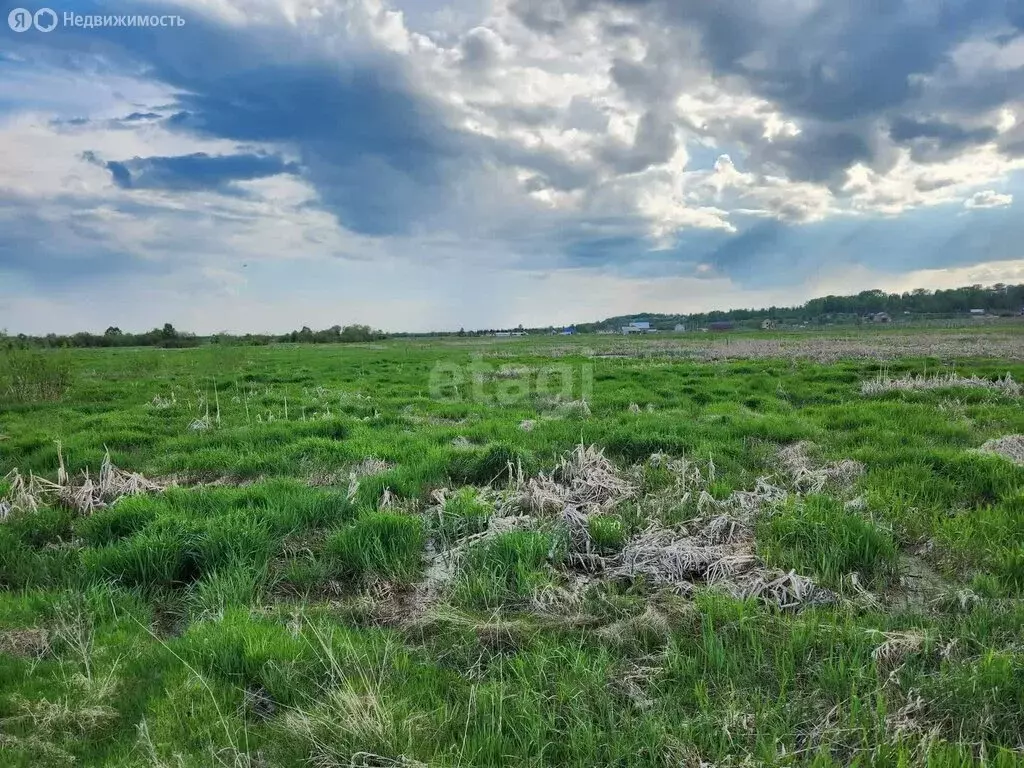 Участок в Республика Коми, муниципальный район Сыктывдинский, ... - Фото 1