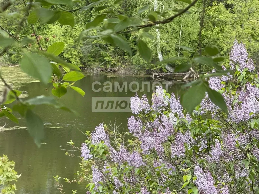 Дом в Рязанская область, Рязань Картонник СТ,  (20 м) - Фото 1