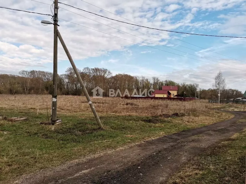 Участок в Московская область, Луховицы муниципальный округ, д. Гольный ... - Фото 1