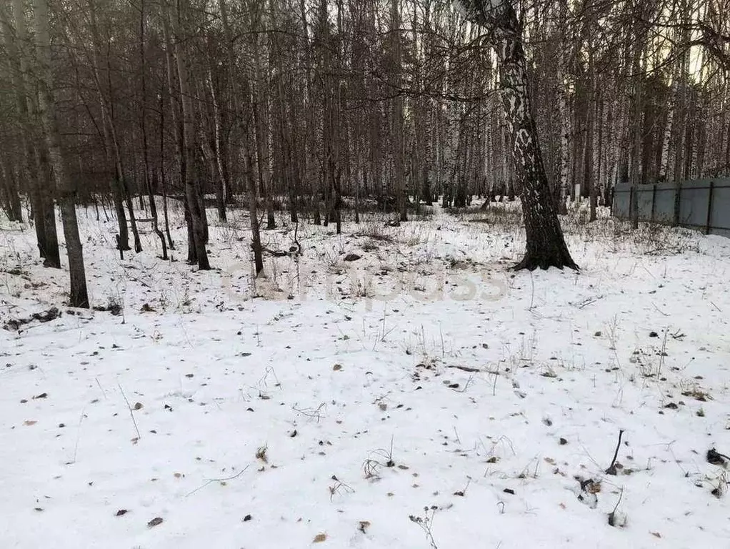 Участок в Тюменская область, Тюмень Медик СНТ,  (11.0 сот.) - Фото 1