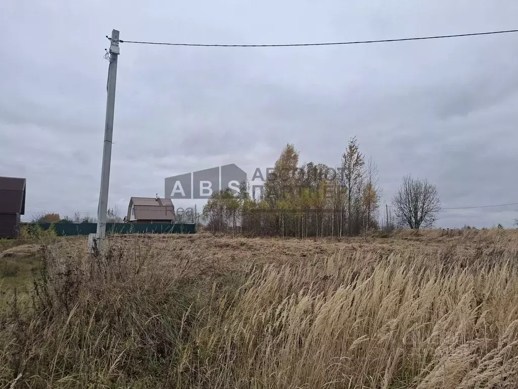 Участок в Новгородская область, Новгородский район, Ракомское с/пос, ... - Фото 1