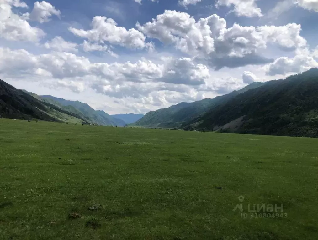 Участок в Алтай, Чемальский район, с. Чемал  (10.0 сот.) - Фото 0