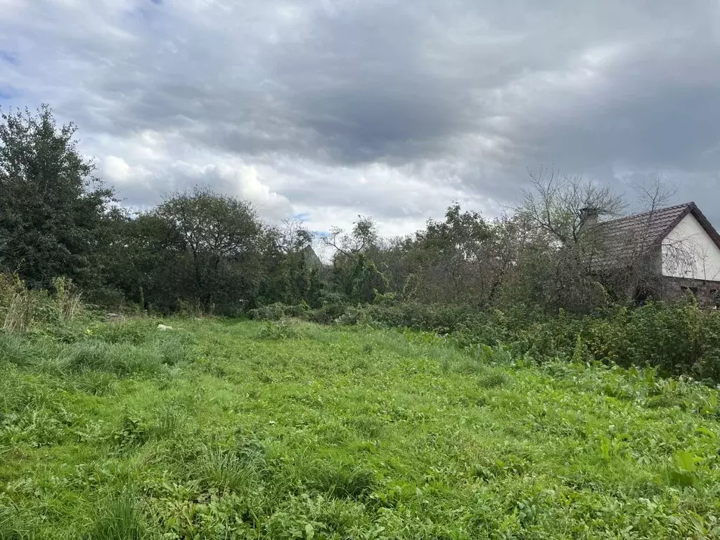 Участок в Калининградская область, Гурьевский муниципальный округ, ... - Фото 2