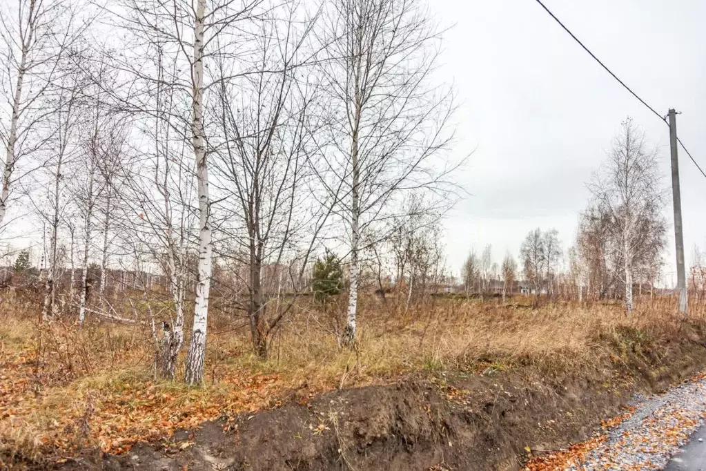 Участок в Новосибирская область, Бердск Раздольный мкр,  (9.5 сот.) - Фото 1