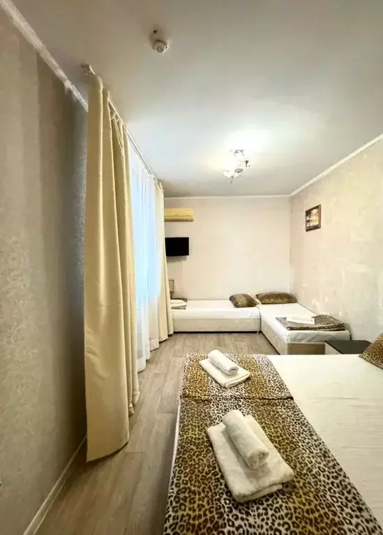 Комната Краснодарский край, Сочи Адлер жилрайон, ул. Чкалова, 10/8 - Фото 1