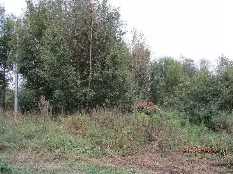 Участок в Вологодская область, Кадуйский муниципальный округ, пос. ... - Фото 0
