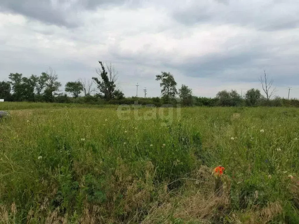 Участок в Ростовская область, Багаевское с/пос, Бенелюкс СНТ 13 (8.0 ... - Фото 1