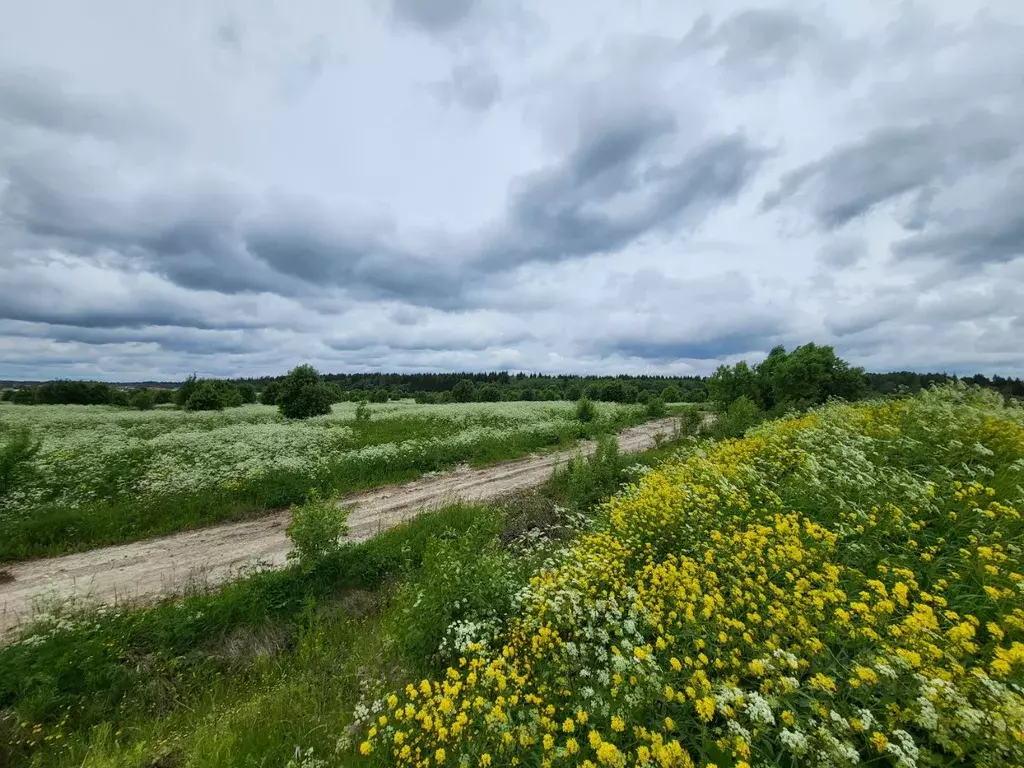 Участок в Ленинградская область, Ломоносовский район, Лопухинское ... - Фото 0