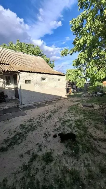 Дом в Волгоградская область, Дубовка ул. 30 лет Победы, 50 (46 м) - Фото 2