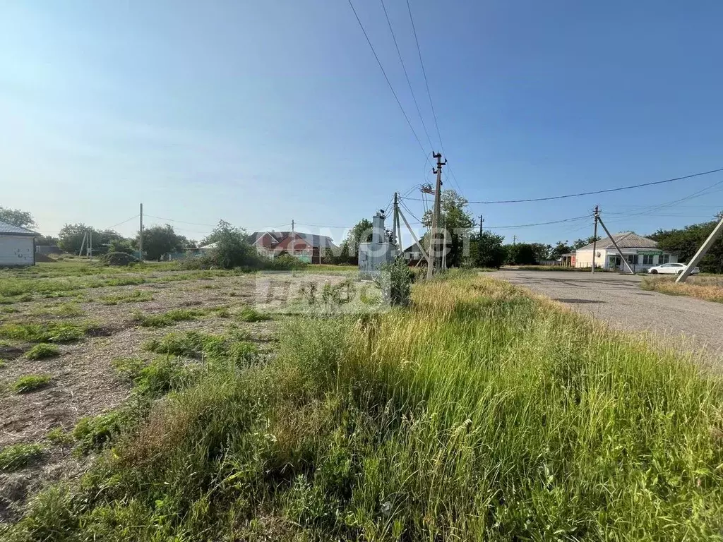 Участок в Краснодарский край, Ейский район, Кухаривское с/пос, ... - Фото 1