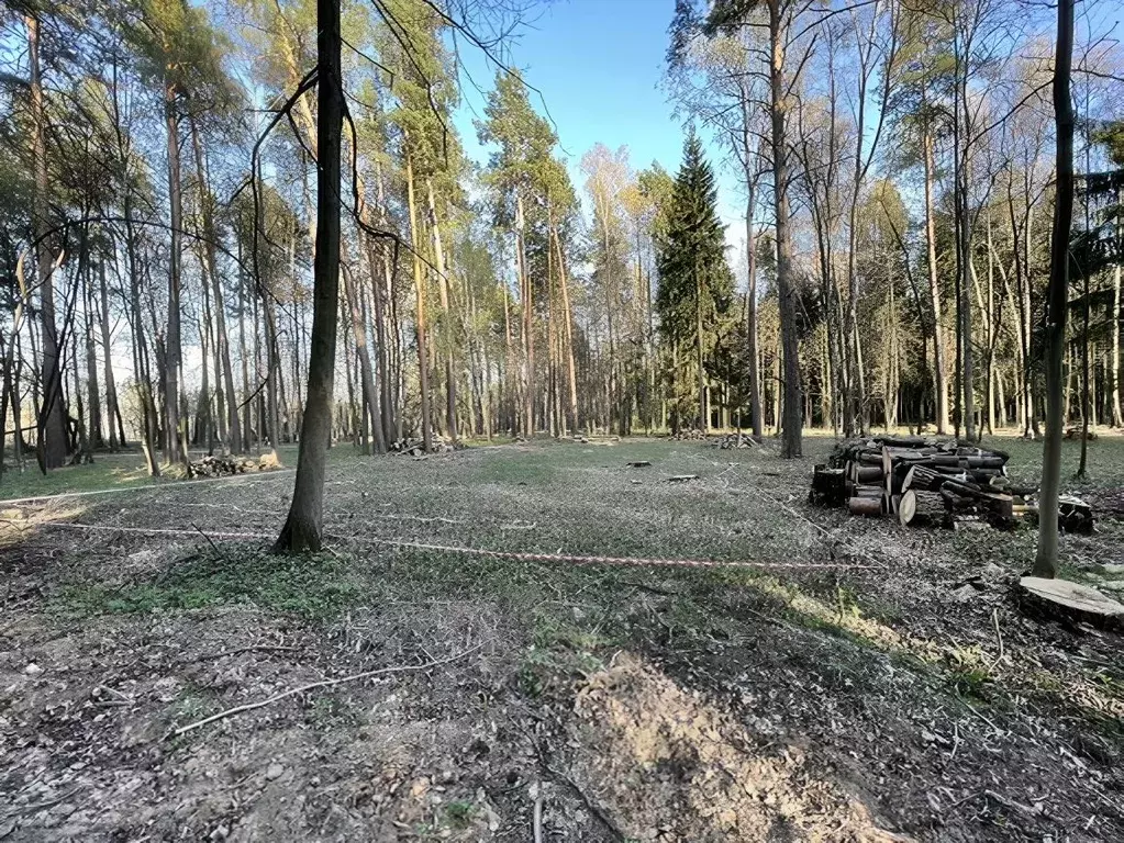 Участок в Московская область, Подольск городской округ, пос. Лесные ... - Фото 2