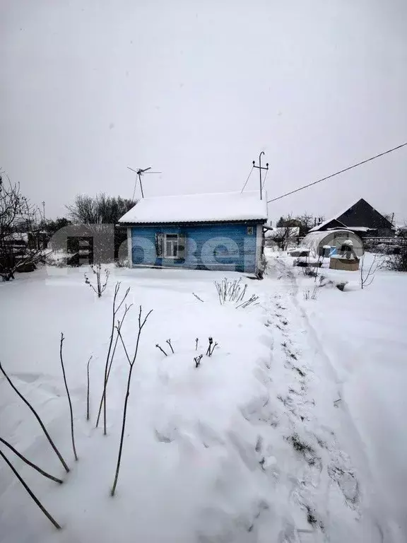 Дом в Омская область, Омск Отдых СНТ,  (42 м) - Фото 0