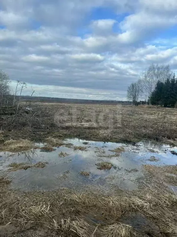 Участок в Вологодская область, д. Закобяйкино  (16.0 сот.) - Фото 1