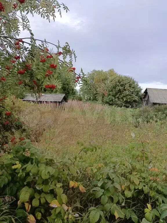 Дом 80 м на участке 15 сот. - Фото 1
