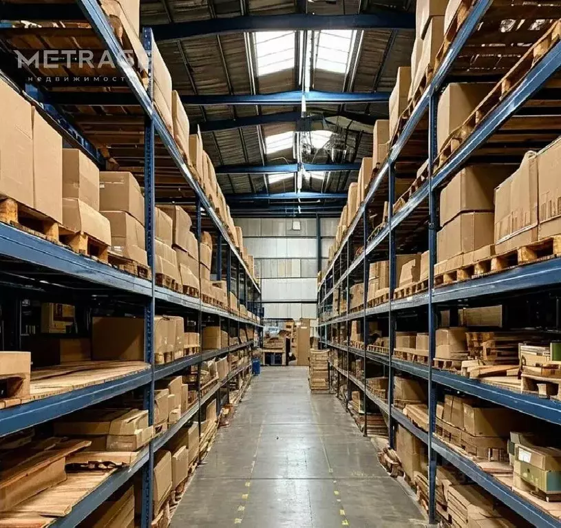 Помещение свободного назначения в Новосибирская область, Новосибирск ... - Фото 1