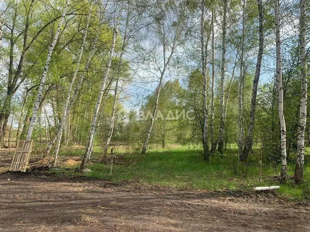 Участок в Воронежская область, Воронеж ул. Совхозная (5.0 сот.) - Фото 0