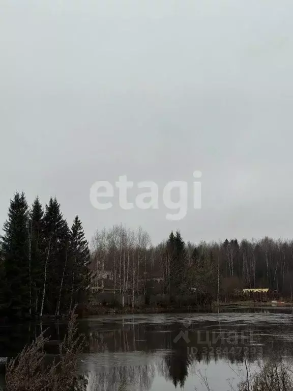 Участок в Пермский край, Краснокамский муниципальный округ, ... - Фото 1