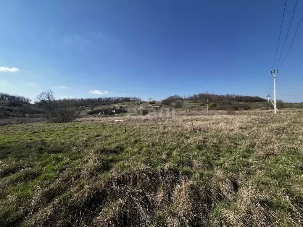 Участок в Белгородская область, Белгородский район, Крутологское ... - Фото 1