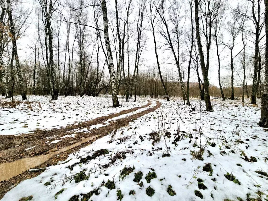 Участок в Московская область, городской округ Коломна, посёлок ... - Фото 1