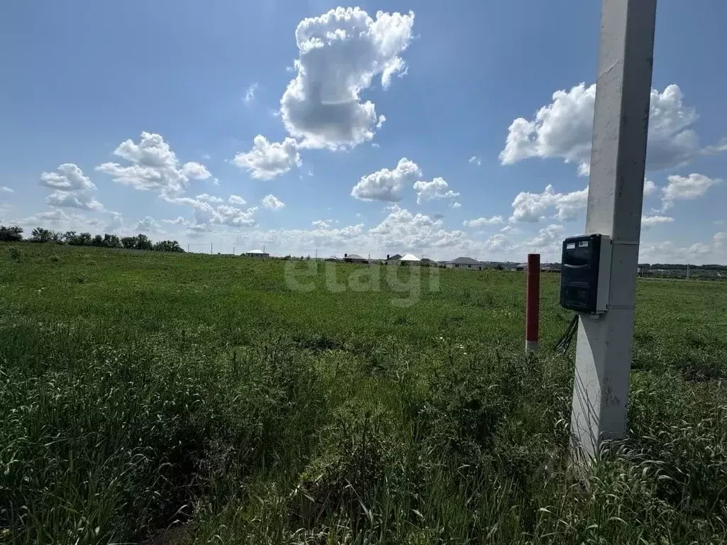 Участок в Белгородская область, Корочанский муниципальный округ, с. ... - Фото 2