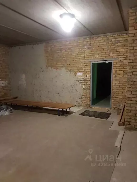 Помещение свободного назначения в Пензенская область, Никольский ... - Фото 2