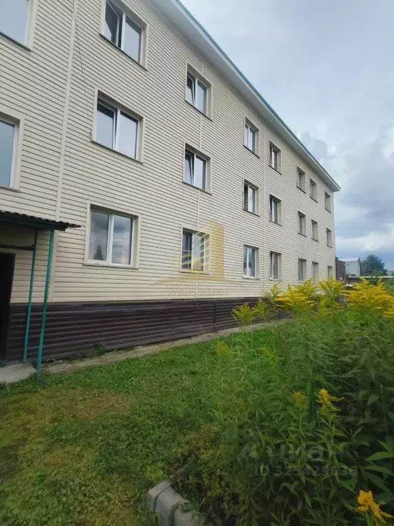 Студия Новосибирская область, Новосибирск Северо-Чемской жилмассив, ... - Фото 1